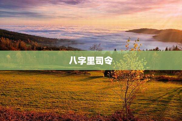 八字里司令