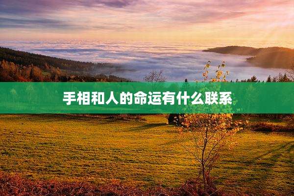 手相和人的命运有什么联系