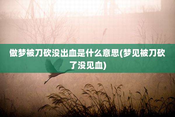 做梦被刀砍没出血是什么意思(梦见被刀砍了没见血)