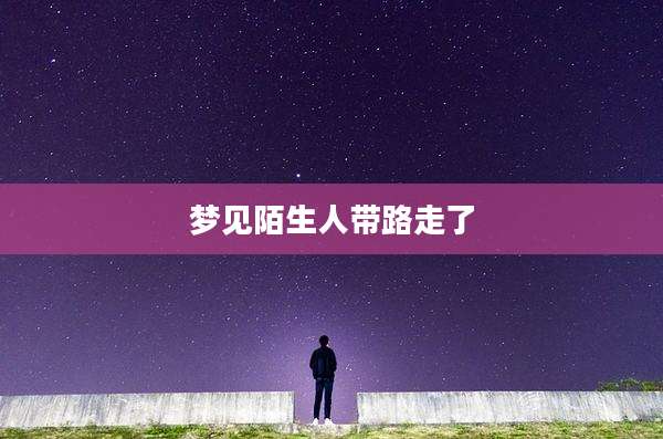 梦见陌生人带路走了