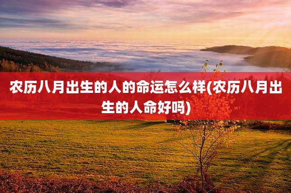 农历八月出生的人的命运怎么样(农历八月出生的人命好吗)