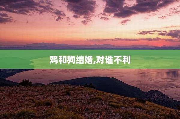鸡和狗结婚,对谁不利
