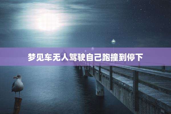 梦见车无人驾驶自己跑撞到停下