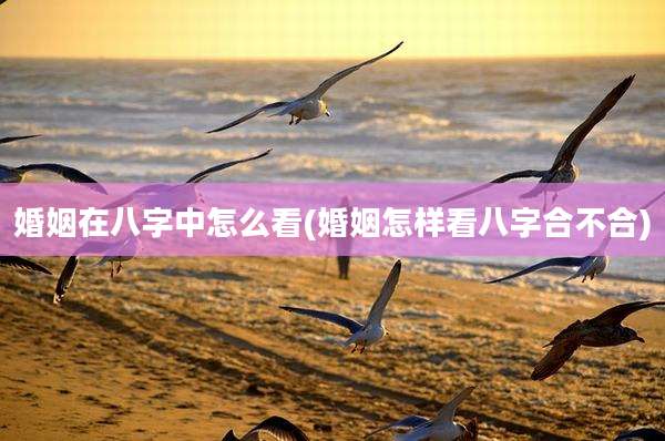 婚姻在八字中怎么看(婚姻怎样看八字合不合)