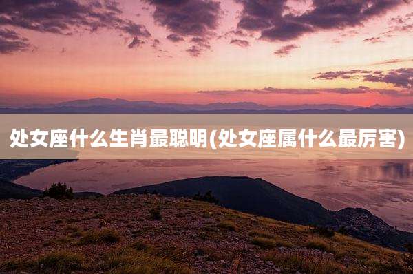 处女座什么生肖最聪明(处女座属什么最厉害)