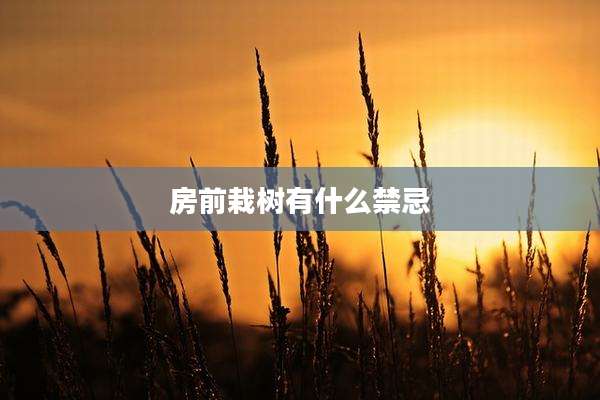房前栽树有什么禁忌