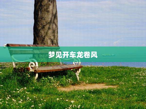 梦见开车龙卷风
