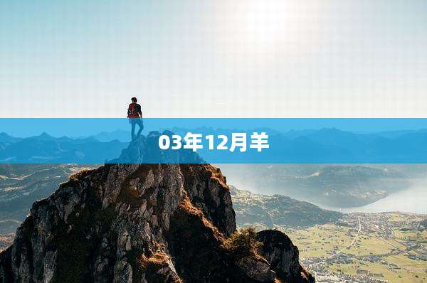 03年12月羊