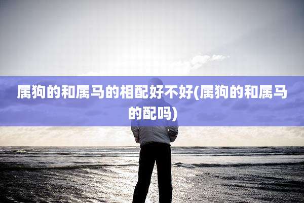 属狗的和属马的相配好不好(属狗的和属马的配吗)