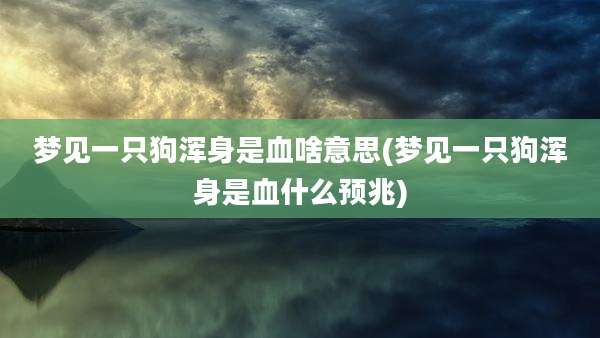 梦见一只狗浑身是血啥意思(梦见一只狗浑身是血什么预兆)