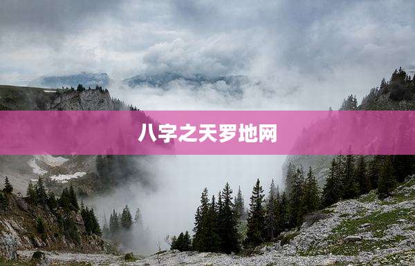 八字之天罗地网