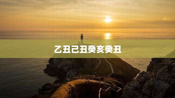 乙丑己丑癸亥癸丑