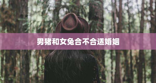 男猪和女兔合不合适婚姻