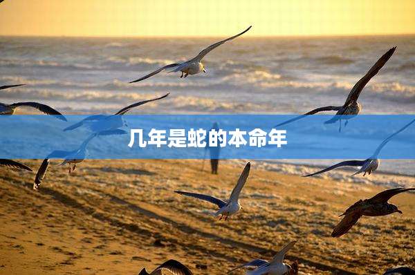 几年是蛇的本命年