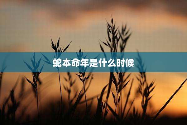 蛇本命年是什么时候