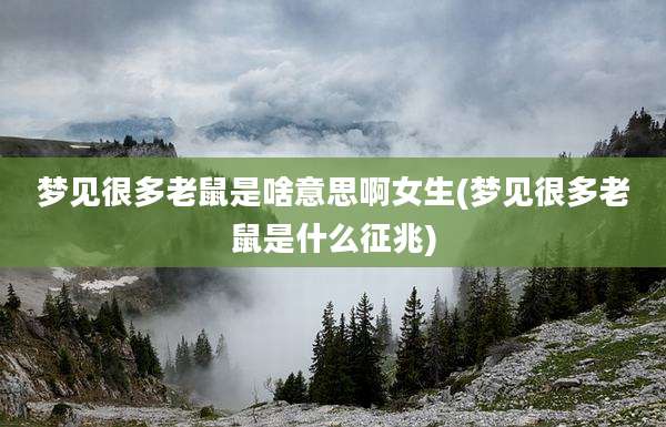 梦见很多老鼠是啥意思啊女生(梦见很多老鼠是什么征兆)