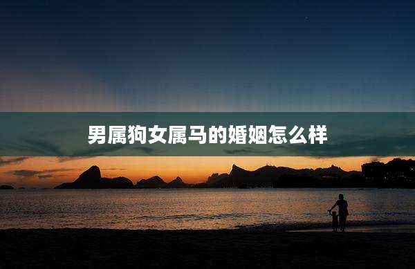 男属狗女属马的婚姻怎么样