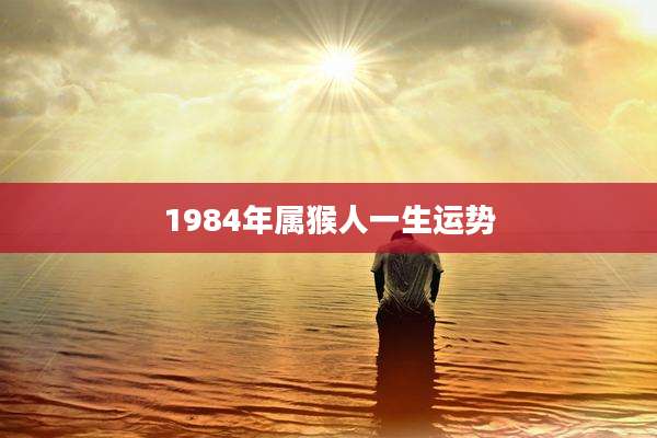 1984年属猴人一生运势