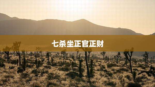 七杀坐正官正财