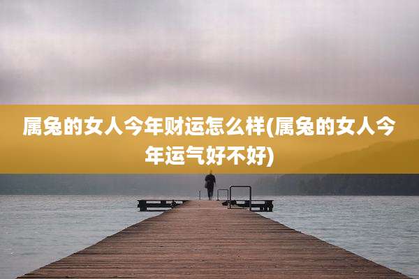 属兔的女人今年财运怎么样(属兔的女人今年运气好不好)