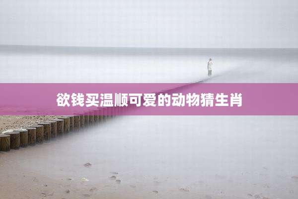 欲钱买温顺可爱的动物猜生肖