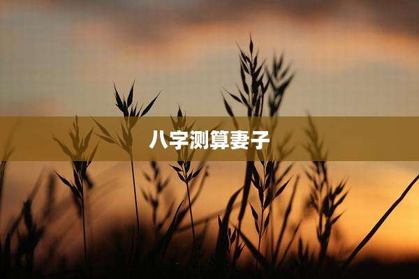 八字测算妻子