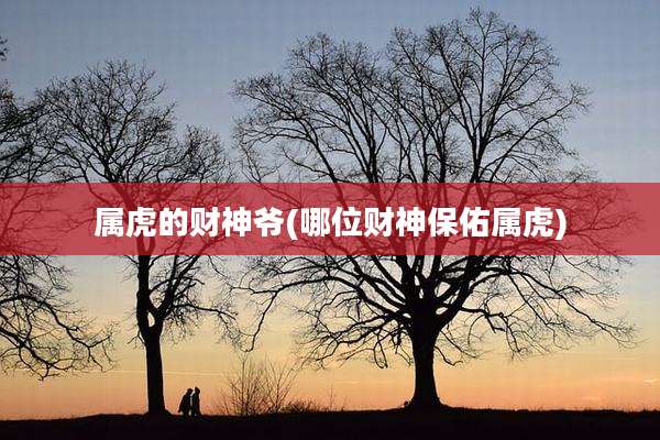 属虎的财神爷(哪位财神保佑属虎)