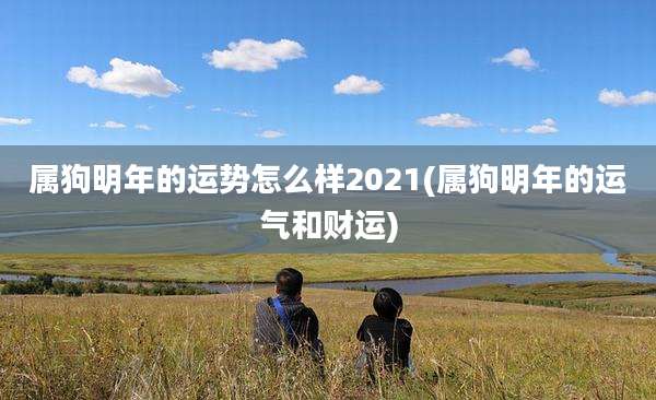 属狗明年的运势怎么样2021(属狗明年的运气和财运)