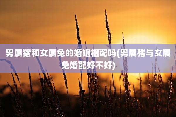 男属猪和女属兔的婚姻相配吗(男属猪与女属兔婚配好不好)