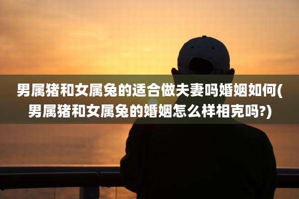 男属猪和女属兔的适合做夫妻吗婚姻如何(男属猪和女属兔的婚姻怎么样相克吗?)