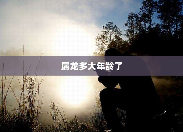 属龙多大年龄了