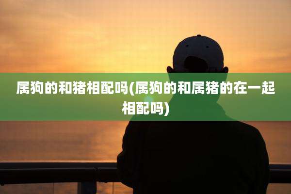 属狗的和猪相配吗(属狗的和属猪的在一起相配吗)
