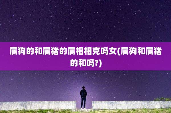 属狗的和属猪的属相相克吗女(属狗和属猪的和吗?)