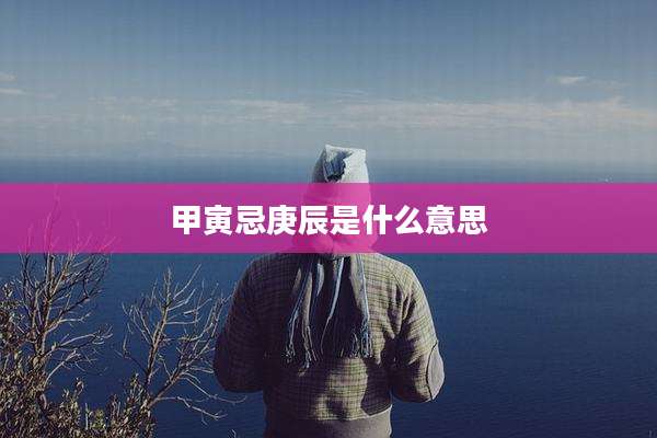 甲寅忌庚辰是什么意思