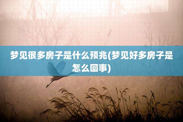 梦见很多房子是什么预兆(梦见好多房子是怎么回事)