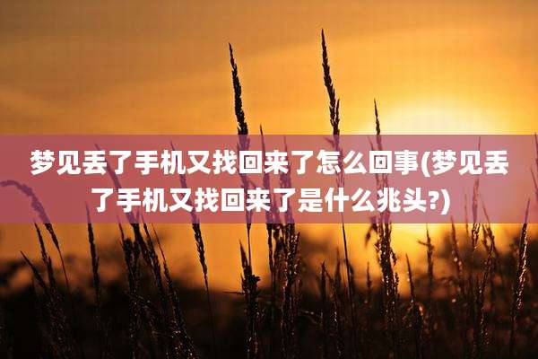 梦见丢了手机又找回来了怎么回事(梦见丢了手机又找回来了是什么兆头?)