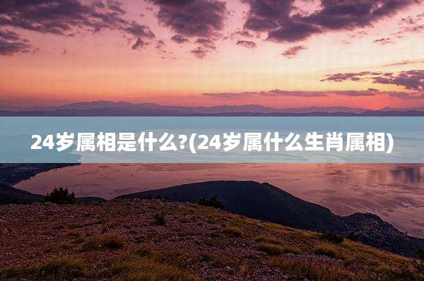 24岁属相是什么?(24岁属什么生肖属相)