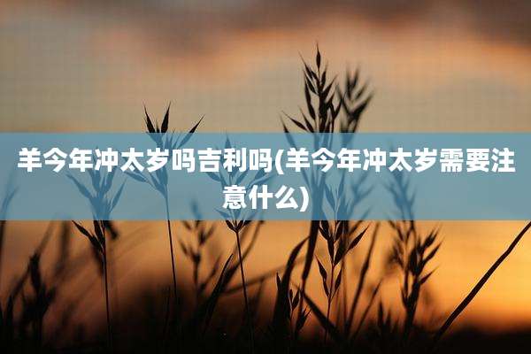 羊今年冲太岁吗吉利吗(羊今年冲太岁需要注意什么)