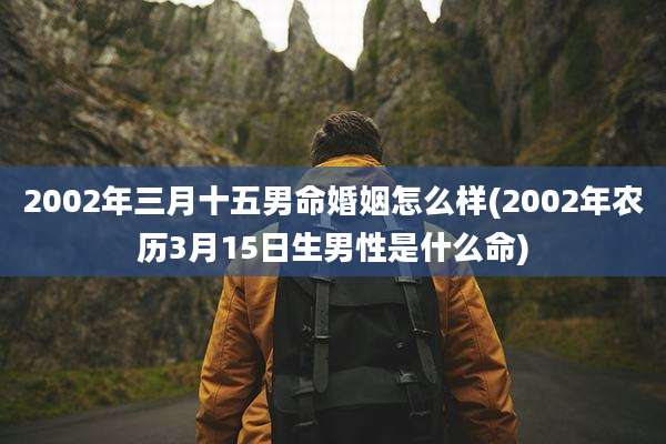 2002年三月十五男命婚姻怎么样(2002年农历3月15日生男性是什么命)