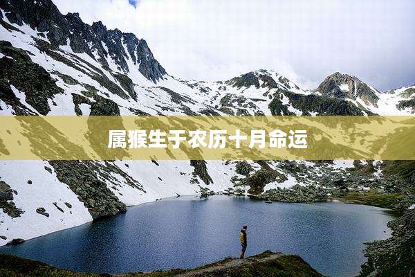 属猴生于农历十月命运