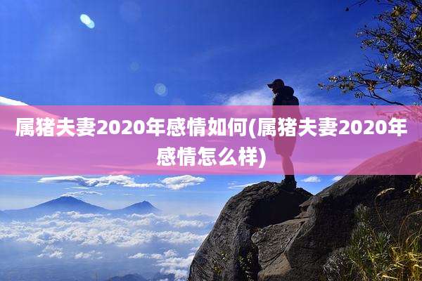 属猪夫妻2020年感情如何(属猪夫妻2020年感情怎么样)