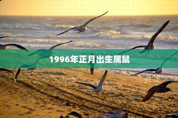 1996年正月出生属鼠