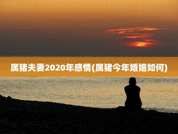 属猪夫妻2020年感情(属猪今年婚姻如何)