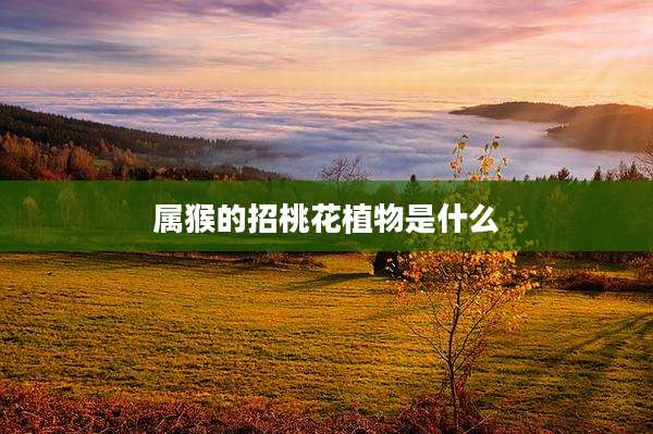 属猴的招桃花植物是什么