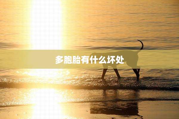 多胞胎有什么坏处