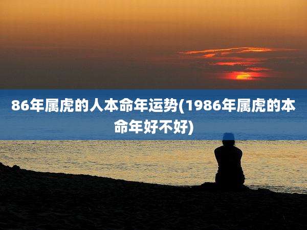 86年属虎的人本命年运势(1986年属虎的本命年好不好)