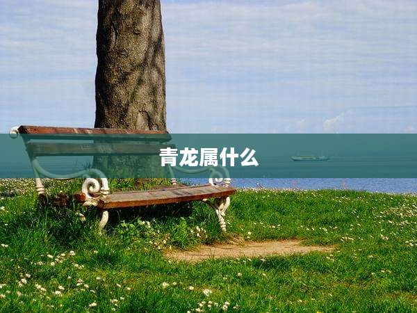 青龙属什么