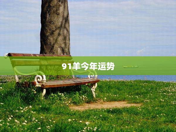 91羊今年运势