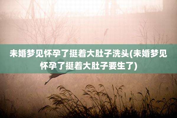 未婚梦见怀孕了挺着大肚子洗头(未婚梦见怀孕了挺着大肚子要生了)