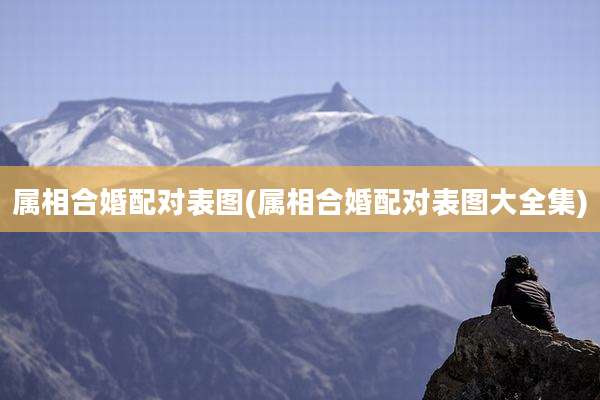 属相合婚配对表图(属相合婚配对表图大全集)
